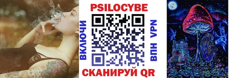 Псилоцибиновые грибы Psilocybe  наркошоп  Лабинск 